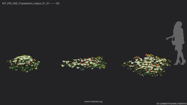 Maxtree Plant Models Vol 68 - Mesh