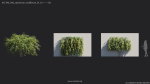 Maxtree Plant Models Vol 68 - Mesh