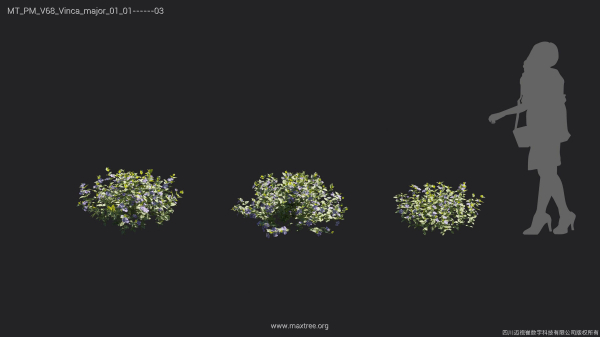 Maxtree Plant Models Vol 68 - Mesh