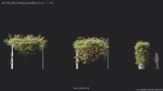 Maxtree Plant Models Vol 68 - Mesh