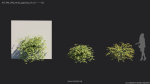 Maxtree Plant Models Vol 68 - Mesh