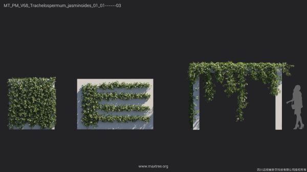 Maxtree Plant Models Vol 68 - Mesh