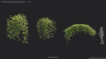 Maxtree Plant Models Vol 68 - Mesh
