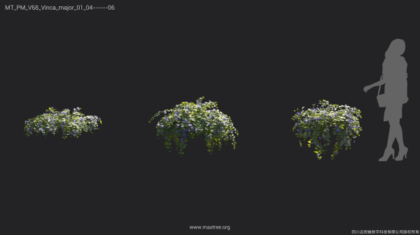 Maxtree Plant Models Vol 68 - Mesh