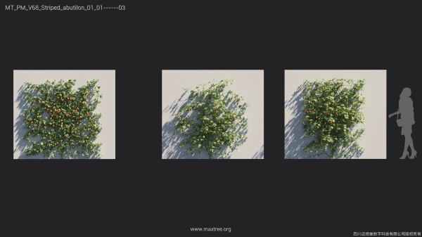 Maxtree Plant Models Vol 68 - Mesh