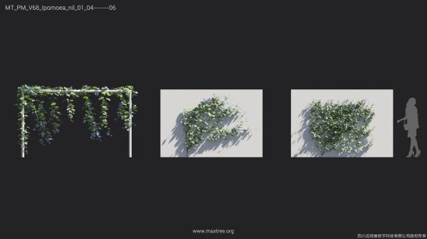 Maxtree Plant Models Vol 68 - Mesh
