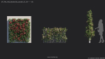 Maxtree Plant Models Vol 68 - Mesh