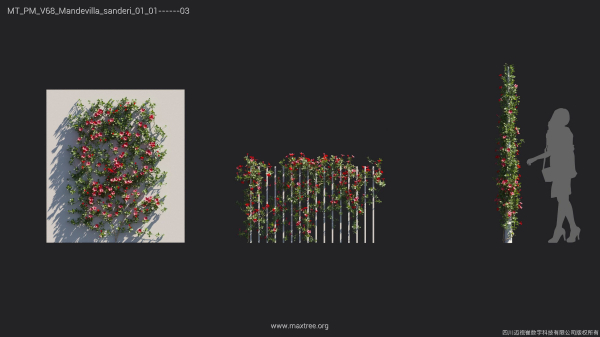 Maxtree Plant Models Vol 68 - Mesh