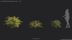Maxtree Plant Models Vol 68 - Mesh