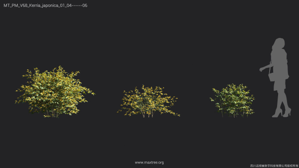 Maxtree Plant Models Vol 68 - Mesh