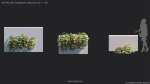 Maxtree Plant Models Vol 68 - Mesh
