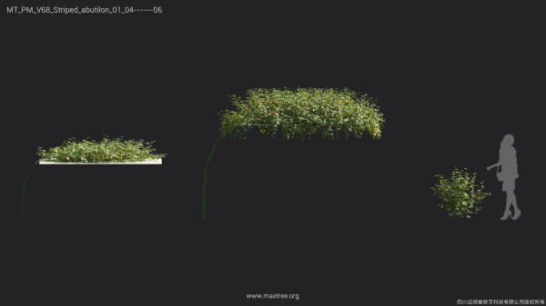Maxtree Plant Models Vol 68 - Mesh