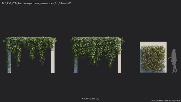 Maxtree Plant Models Vol 68 - Mesh