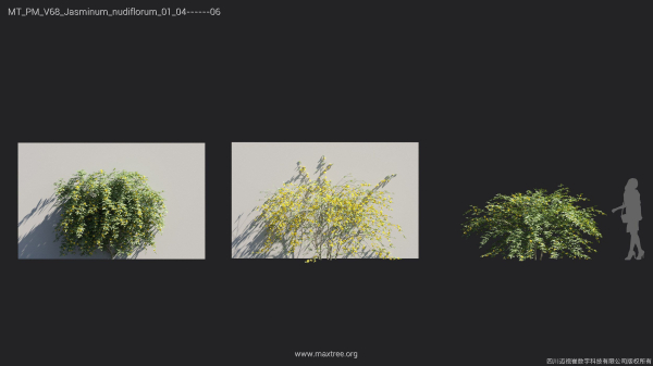 Maxtree Plant Models Vol 68 - Mesh