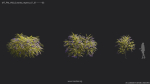 Maxtree Plant Models Vol 68 - Mesh