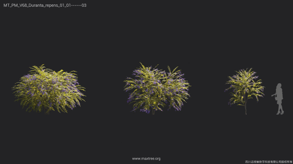Maxtree Plant Models Vol 68 - Mesh