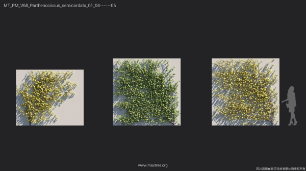 Maxtree Plant Models Vol 68 - Mesh