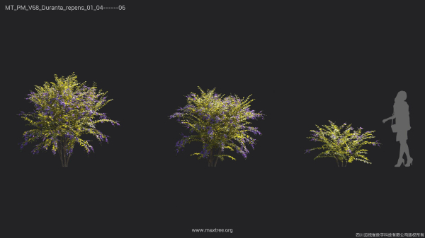 Maxtree Plant Models Vol 68 - Mesh