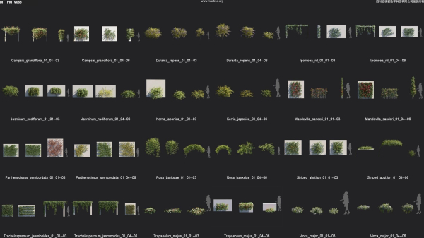 Maxtree Plant Models Vol 68 - Mesh