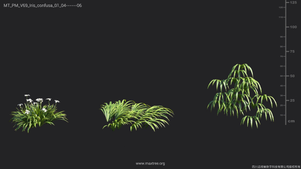 Maxtree Plant Models Vol 69 - Mesh