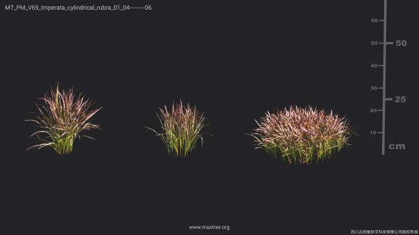 Maxtree Plant Models Vol 69 - Mesh