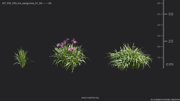Maxtree Plant Models Vol 69 - Mesh