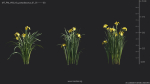 Maxtree Plant Models Vol 69 - Mesh