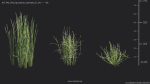 Maxtree Plant Models Vol 69 - Mesh