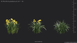Maxtree Plant Models Vol 69 - Mesh