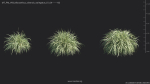 Maxtree Plant Models Vol 69 - Mesh