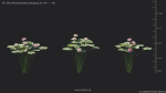 Maxtree Plant Models Vol 69 - Mesh