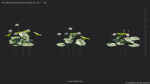 Maxtree Plant Models Vol 69 - Mesh