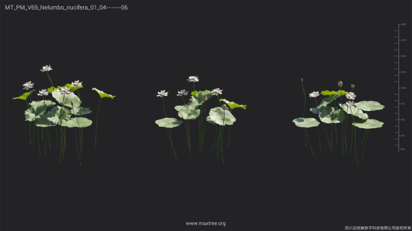Maxtree Plant Models Vol 69 - Mesh