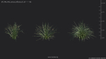 Maxtree Plant Models Vol 69 - Mesh