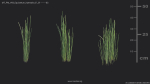 Maxtree Plant Models Vol 69 - Mesh