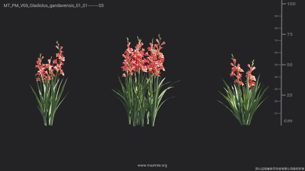Maxtree Plant Models Vol 69 - Mesh