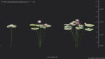 Maxtree Plant Models Vol 69 - Mesh