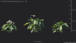 Maxtree Plant Models Vol 69 - Mesh