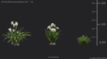 Maxtree Plant Models Vol 69 - Mesh