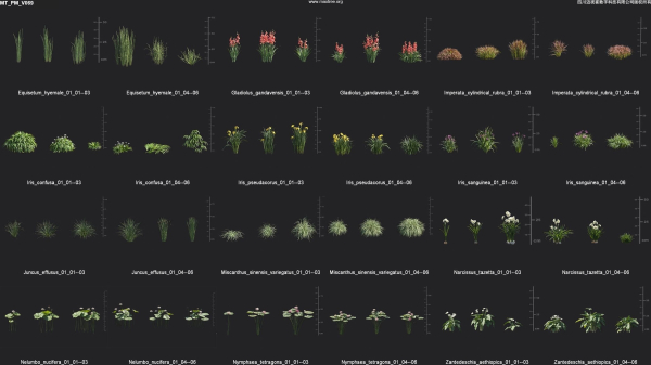 Maxtree Plant Models Vol 69 - Mesh