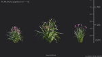 Maxtree Plant Models Vol 69 - Mesh