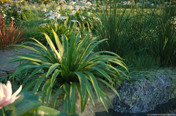 Maxtree Plant Models Vol 69 - Mesh