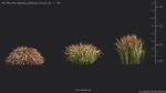Maxtree Plant Models Vol 69 - Mesh