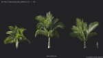 Maxtree Plant Models Vol 7 - Mesh