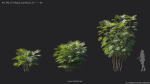 Maxtree Plant Models Vol 7 - Mesh