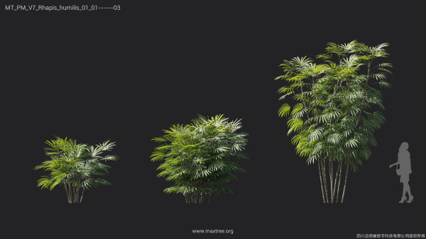 Maxtree Plant Models Vol 7 - Mesh