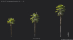 Maxtree Plant Models Vol 7 - Mesh