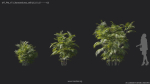 Maxtree Plant Models Vol 7 - Mesh
