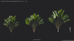 Maxtree Plant Models Vol 7 - Mesh