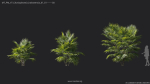 Maxtree Plant Models Vol 7 - Mesh